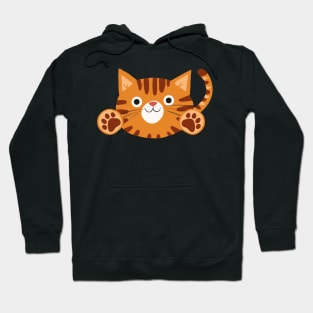 Cute Tiger Cat Hugging You Hoodie